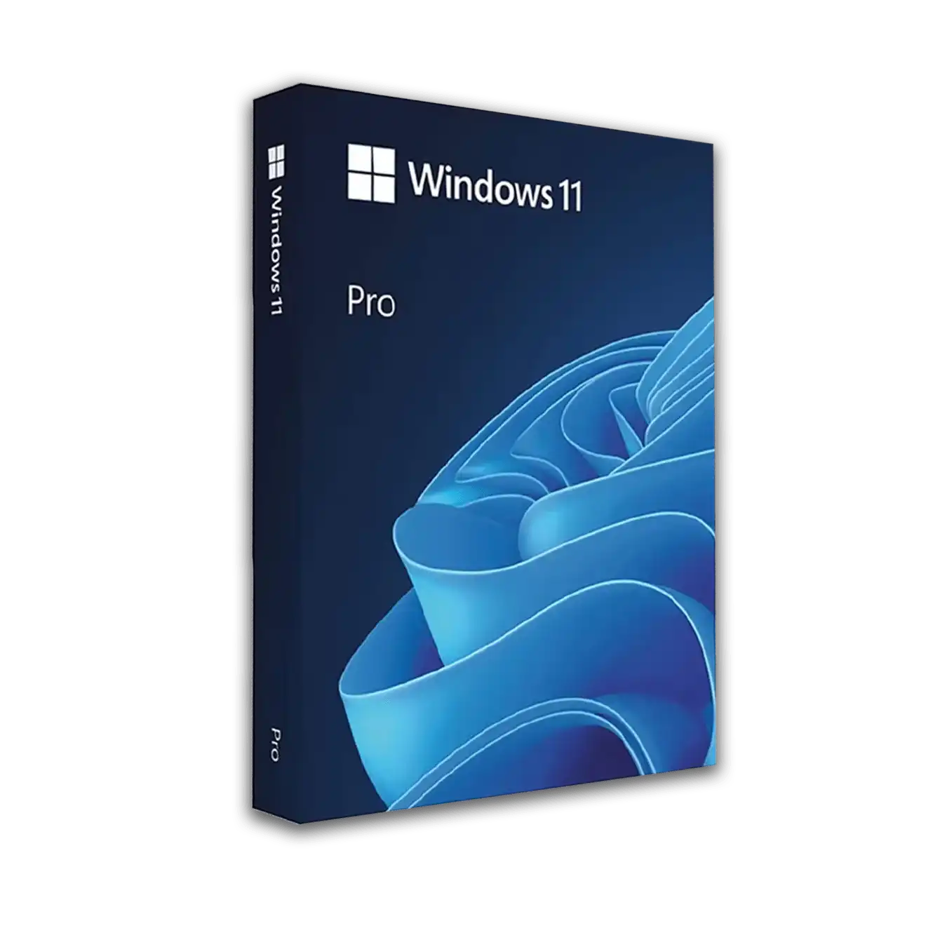 Windows 11 Pro - Merion